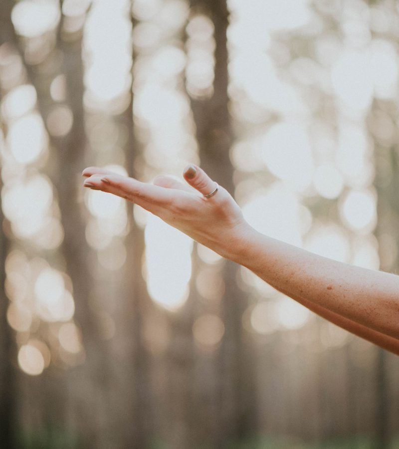 terapias-tere-siques