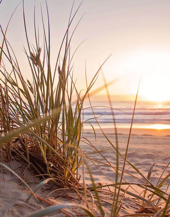 tere_siques_curso_canalizacion