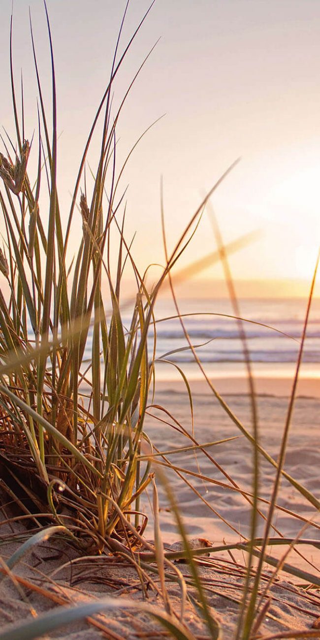 tere_siques_curso_canalizacion